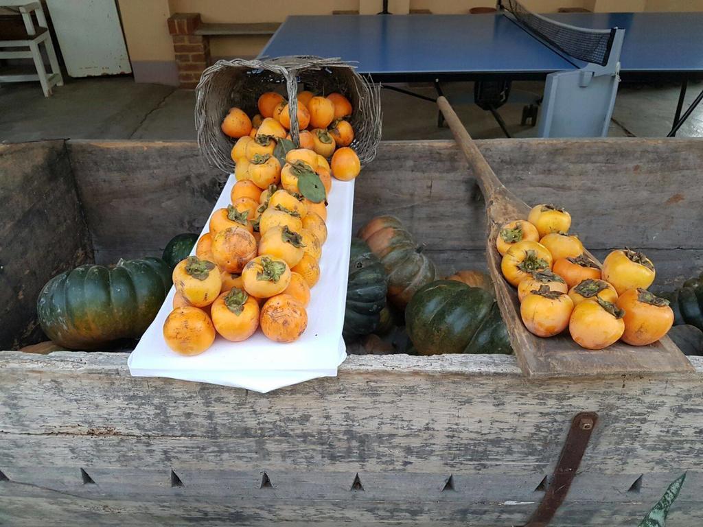 拉克劳塔住宿加早餐旅馆 阿斯蒂 外观 照片